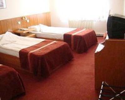 фото отеля Hotel Segmen