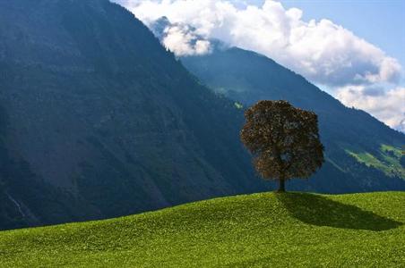 фото отеля SeeHotel Gotthard