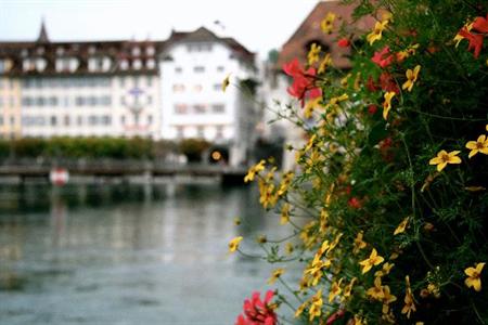фото отеля SeeHotel Gotthard