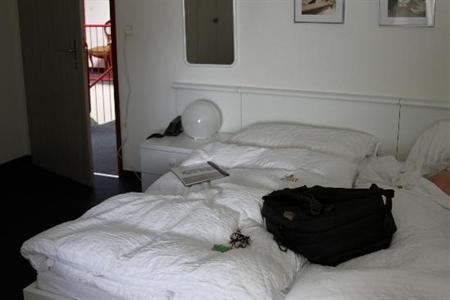 фото отеля SeeHotel Gotthard