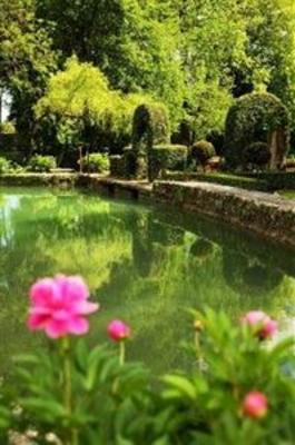 фото отеля Manoir d'Hautegente