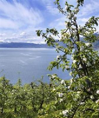 фото отеля Hardanger Hotel