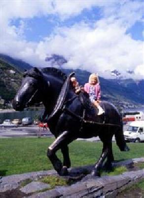 фото отеля Hardanger Hotel