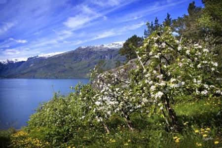 фото отеля Hardanger Hotel