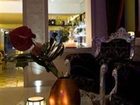 фото отеля Alcyone Hotel