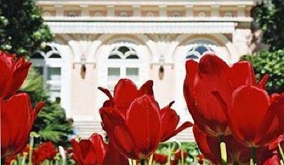 фото отеля Grand Hotel Opatijska Cvijeta