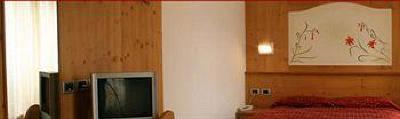 фото отеля Hotel Ariston Pinzolo