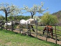 Agri Hotel Da Marianna