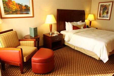 фото отеля Hilton Garden Inn Rochester Downtown