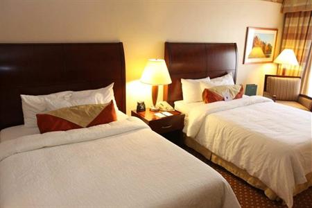 фото отеля Hilton Garden Inn Rochester Downtown