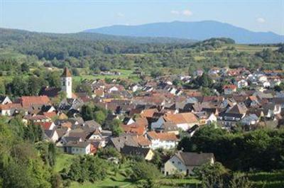 фото отеля Gasthof-Hotel Zum Rebstock