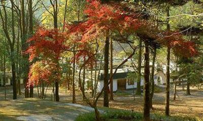 фото отеля Pine Ridge Lodge