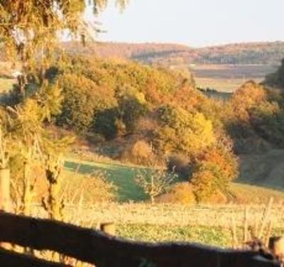 фото отеля Mühlbachhof