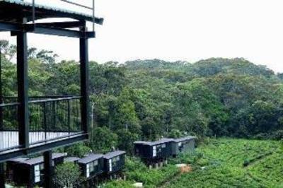 фото отеля Rain Forest Eco Lodge