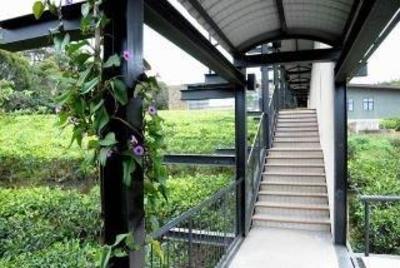 фото отеля Rain Forest Eco Lodge