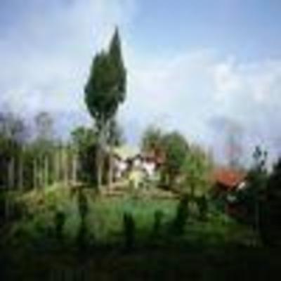 фото отеля YANGSUM FARM