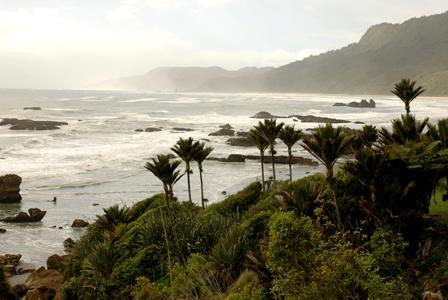 фото отеля Punakaiki Resort