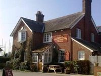 The Oak at Dewlish