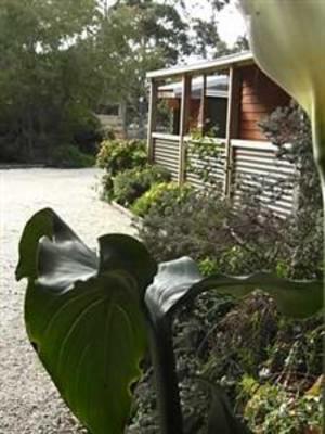 фото отеля Ocean Grove Cedar Cabins (Australia)