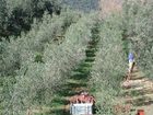 фото отеля Agriturismo Costa Etrusca