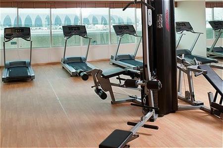 фото отеля Holiday Inn Express Dubai Airport