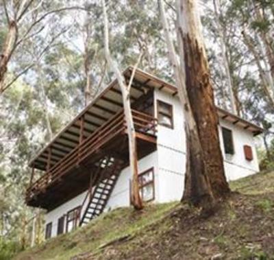 фото отеля The Treehouse