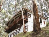 The Treehouse