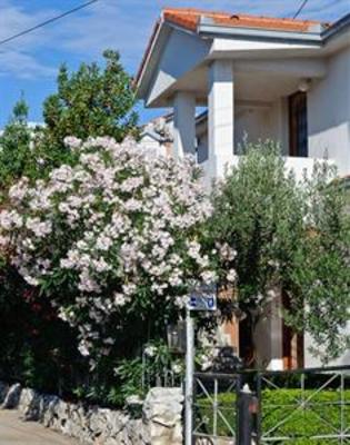 фото отеля Apartments Ruza Trogir