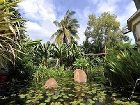 фото отеля Amatao Tropical Residence Siem Reap