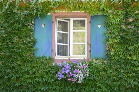 фото отеля Le Schaeferhof