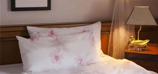 фото отеля Hotel Zum Ochsen Karlsruhe