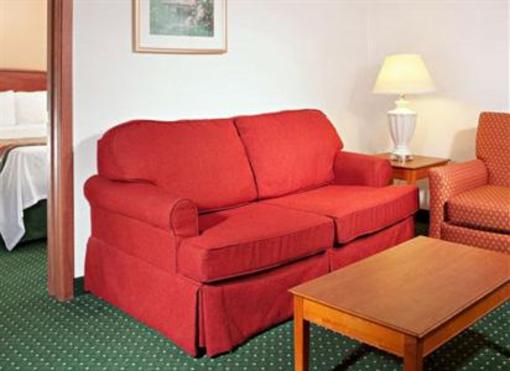 фото отеля Towneplace Suites Detroit Novi