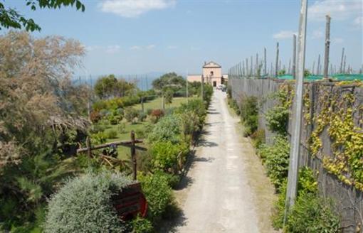 фото отеля Agriturismo La Villanella