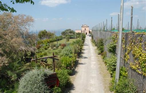 фото отеля Agriturismo La Villanella