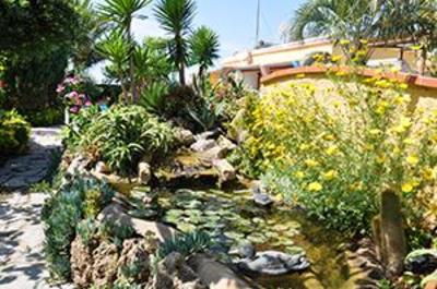 фото отеля Hotel Villa Sirena