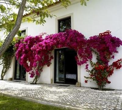 фото отеля Quinta Do Miguel Sesimbra