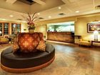 фото отеля Holiday Inn Buffalo Amherst