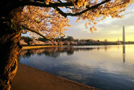 фото отеля Crowne Plaza Washington National Airport