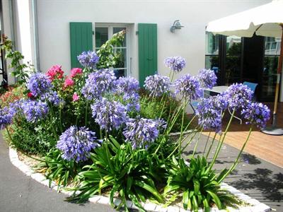 фото отеля La Galiote Hotel La Flotte
