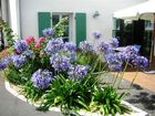 фото отеля La Galiote Hotel La Flotte