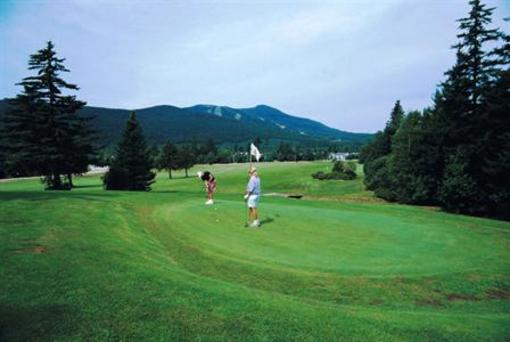 фото отеля Black Bear Lodge Waterville Valley