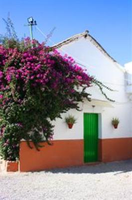 фото отеля Camping Maria Eugenia Bungalows Granada