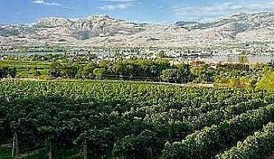 фото отеля Spirit Ridge Vineyard Resort & Spa
