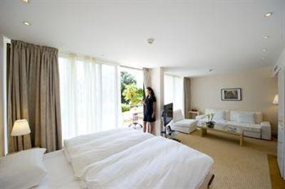 фото отеля Hotel Royal Plaza Montreux