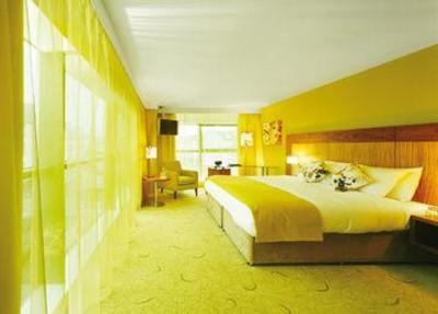 фото отеля The Glasshouse Hotel Sligo