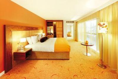 фото отеля The Glasshouse Hotel Sligo