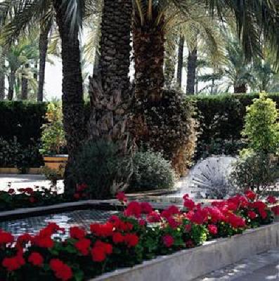 фото отеля Jardin Milenio