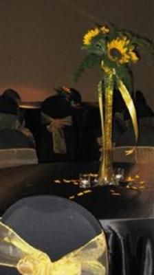 фото отеля Holiday Inn Express Hotel & Suites Sacramento NE Cal Expo