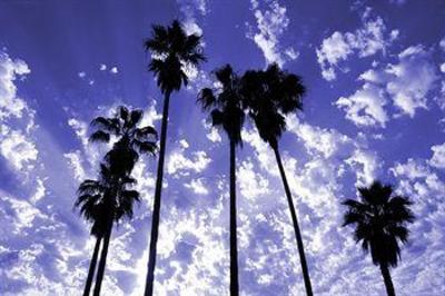 фото отеля Parker Palm Springs