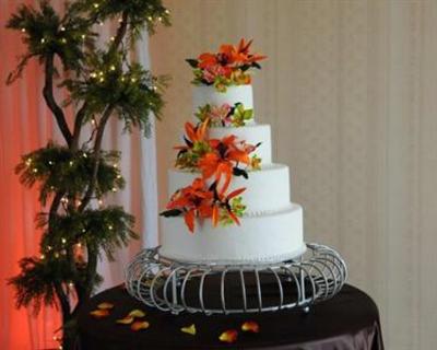 фото отеля Hilton Garden Inn Tampa / Riverview / Brandon
